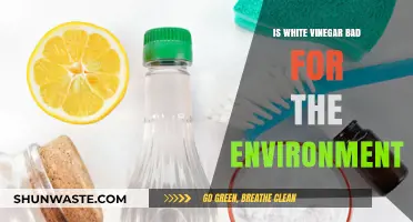 Is White Vinegar Eco-Friendly? Uncovering Its Environmental Impact