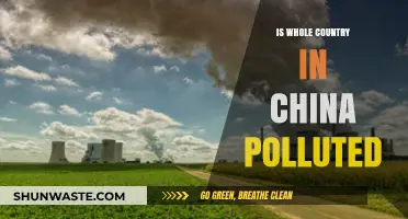 China's Pollution Crisis: Is the Country Overrun?