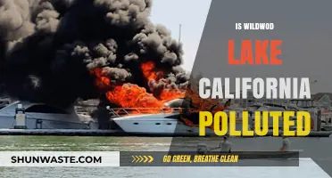 Wildwood Lake: A Polluted Paradise in California?