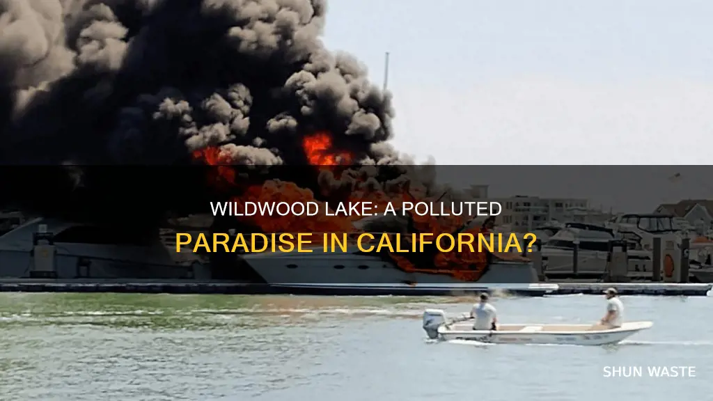 is wildwod lake california polluted