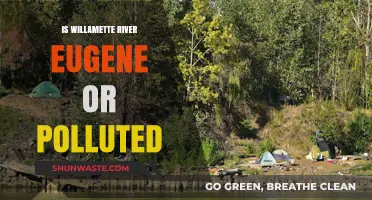 Eugene's Willamette River: A Polluted Paradise?
