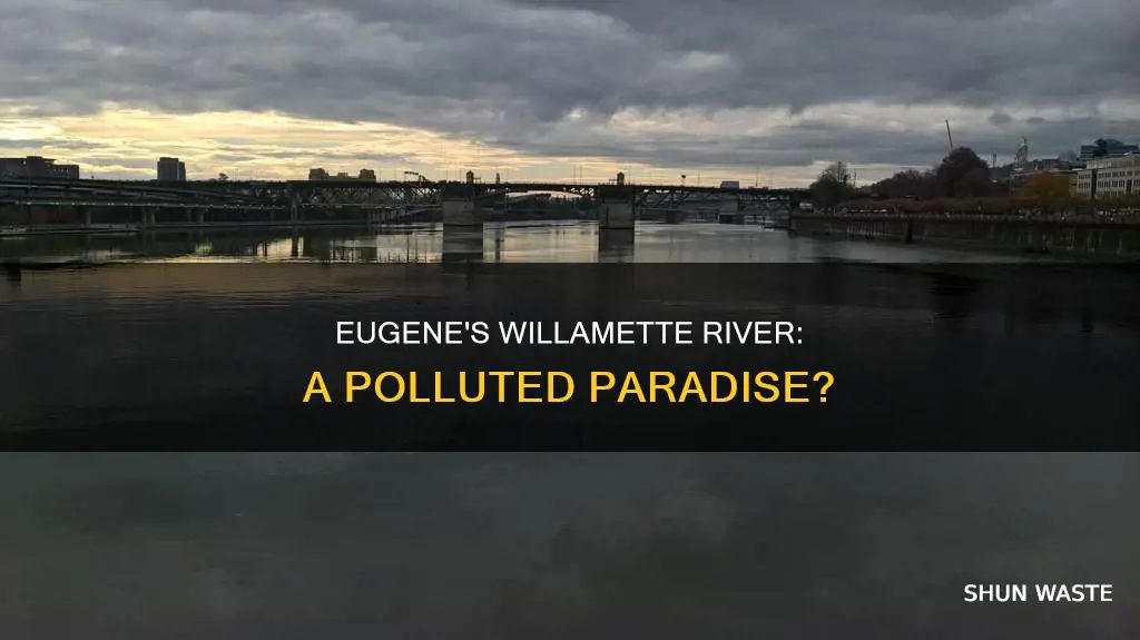 is willamette river eugene or polluted