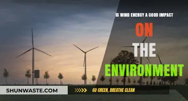 Wind Energy's Environmental Impact: Benefits, Challenges, and Sustainability Insights