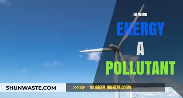Wind Energy: Pollutant or Clean Power?