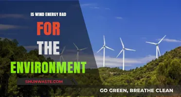 Wind Energy's Environmental Impact: Myths, Facts, and Sustainability Concerns