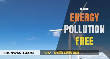 Wind Energy: Pollution Free Power?
