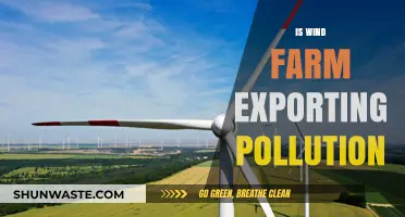 Wind Farms: Pollution Exporter or Green Energy?