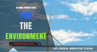 Is Wind Power Environmentally Friendly? Exploring Its Green Impact