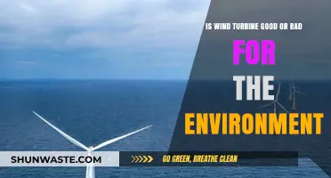 Wind Turbines: Environmental Savior or Ecological Dilemma?