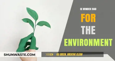 Is Windex Eco-Friendly? Uncovering Its Environmental Impact and Alternatives