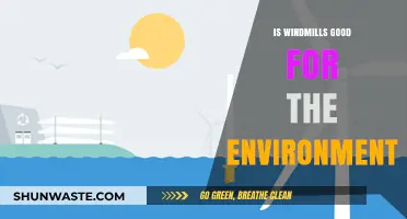 Windmills and the Environment: Sustainable Energy or Ecological Impact?