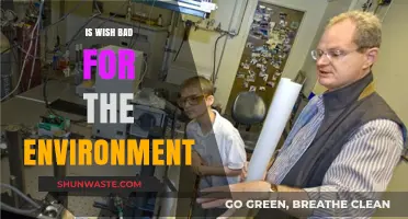 Is Wish Eco-Friendly? Uncovering the Environmental Impact of Wish Shopping