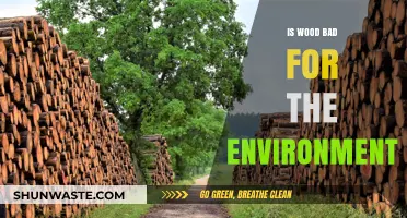 Is Wood Eco-Friendly? Uncovering Its Environmental Impact and Sustainability