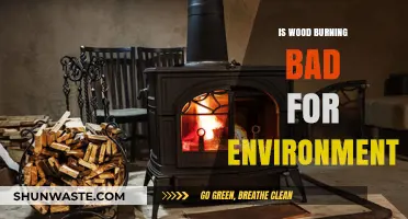 Wood Burning: Environmental Impact and Sustainable Alternatives Explored