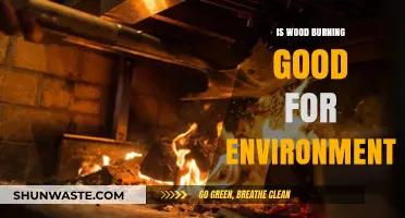 Wood Burning: Eco-Friendly or Harmful? Uncovering Environmental Impacts