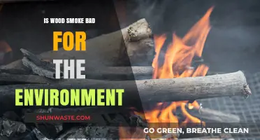 Wood Smoke's Environmental Impact: Harmful or Harmless?