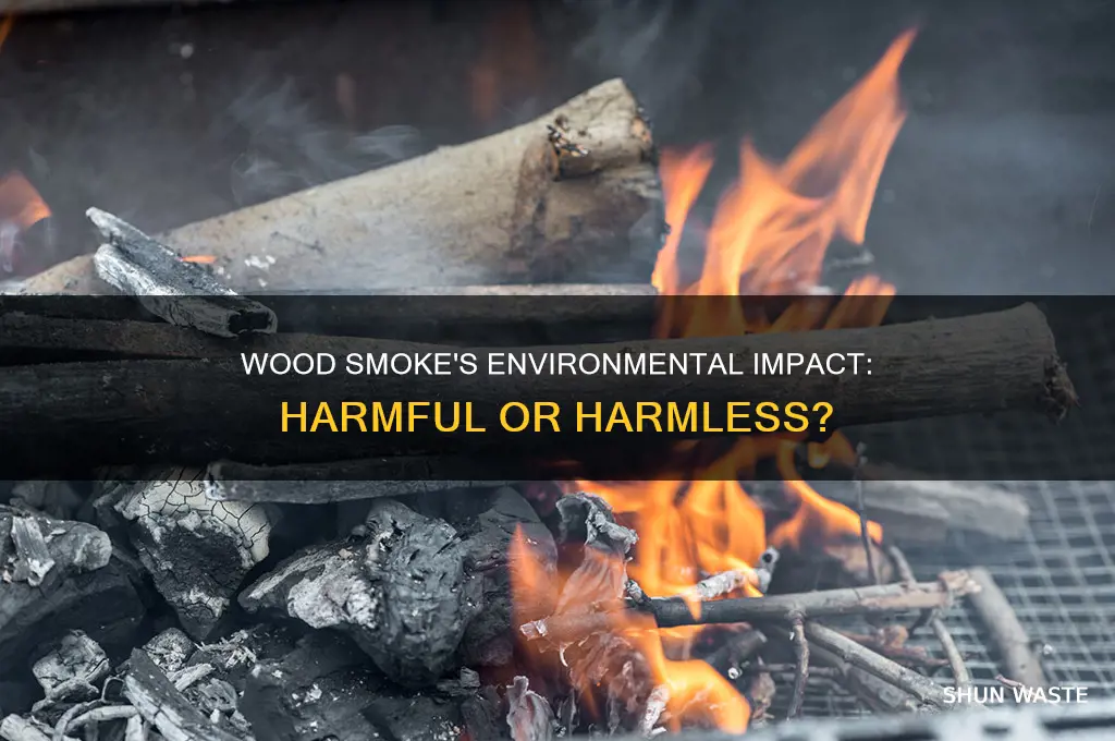 is wood smoke bad for the environment