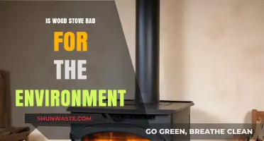 Wood Stoves: Environmental Impact and Sustainable Heating Alternatives Explored