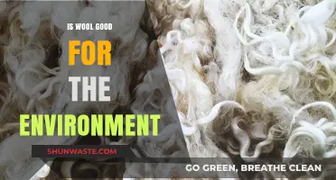 Wool's Eco-Impact: Sustainable Choice or Environmental Concern?