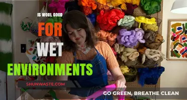Wool in Wet Conditions: Benefits, Drawbacks, and Practical Uses
