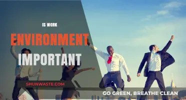 Why Your Work Environment Matters More Than You Think