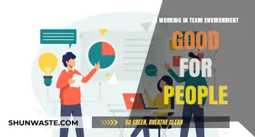 Teamwork Benefits: Enhancing Productivity, Collaboration, and Personal Growth Together