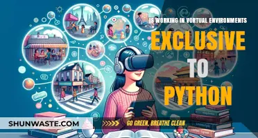 Virtual Environments: Are They Exclusive to Python Development?