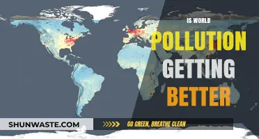Pollution Trends: A Global Outlook