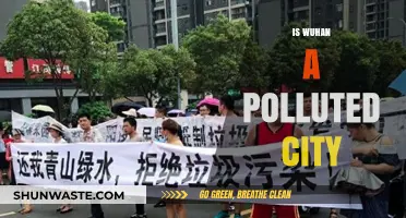 Wuhan's Pollution Problem: Is It Getting Better?