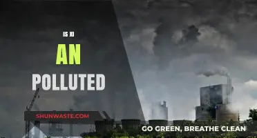 Xi'an's Pollution Problem: A City's Struggle for Clean Air