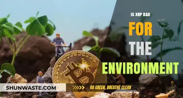 Is XRP Eco-Friendly? Analyzing Its Environmental Impact and Sustainability