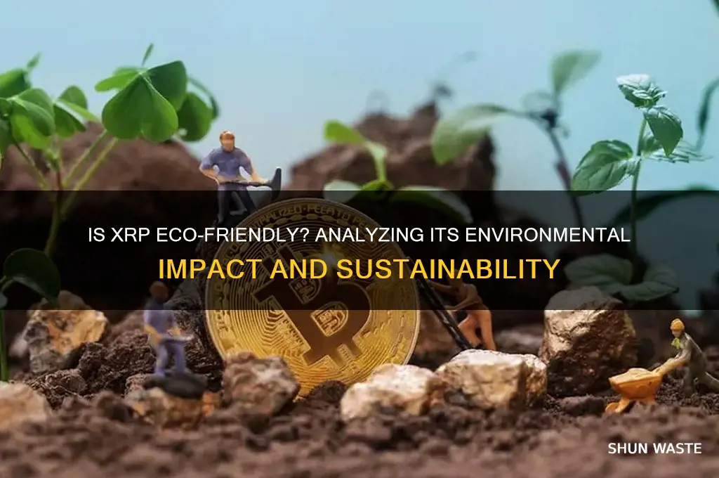 is xrp bad for the environment