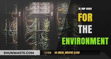 Is XRP Eco-Friendly? Exploring Its Environmental Impact and Benefits