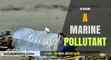 Xylene's Impact: Marine Pollutant or Not?