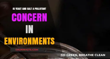 Yeast, Salt, and the Environment: What's the Concern?