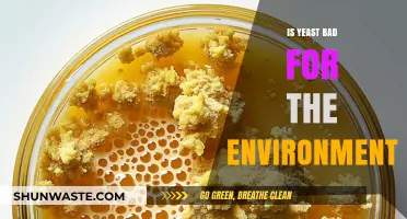 Is Yeast Eco-Friendly? Exploring Its Environmental Impact and Sustainability