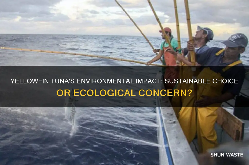 is yellowfin tuna good for the environment