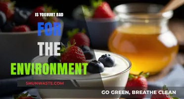Yogurt's Environmental Impact: Sustainable Choice or Eco-Friendly Myth?