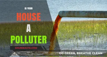 Homes and Pollution: Are You a Contributor?