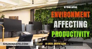 Boost Productivity: How Your Office Environment Impacts Work Efficiency