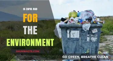 Is Zaful Harming Our Planet? Uncovering Its Environmental Impact
