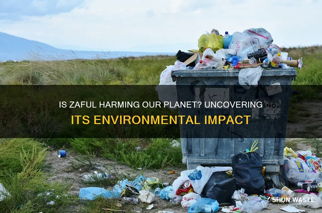 is zaful bad for the environment