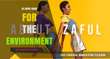 Is Zaful Eco-Friendly? Uncovering Its Environmental Impact and Practices