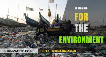 Zara's Environmental Impact: Fast Fashion's Hidden Costs and Sustainability Concerns