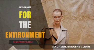Is Zara Eco-Friendly? Uncovering the Brand's Environmental Impact