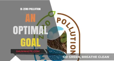 Aiming for Zero Pollution: Is It Feasible?