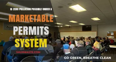 Marketable Permits: Can We Achieve Zero Pollution?