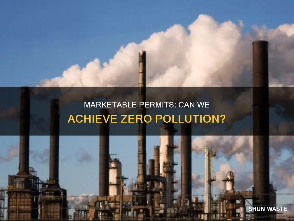 is zero pollution possible under a marketable permits system