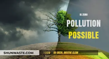 Can We Achieve Zero Pollution?