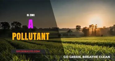 Zinc: Friend or Foe in the Environment?